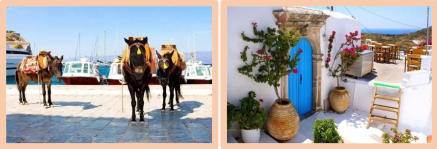 1579447882992165.png png.png